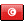 Tunisian Flag icon