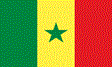 Senegal Flag icon