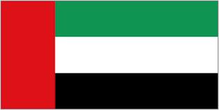 UAE Flag icon