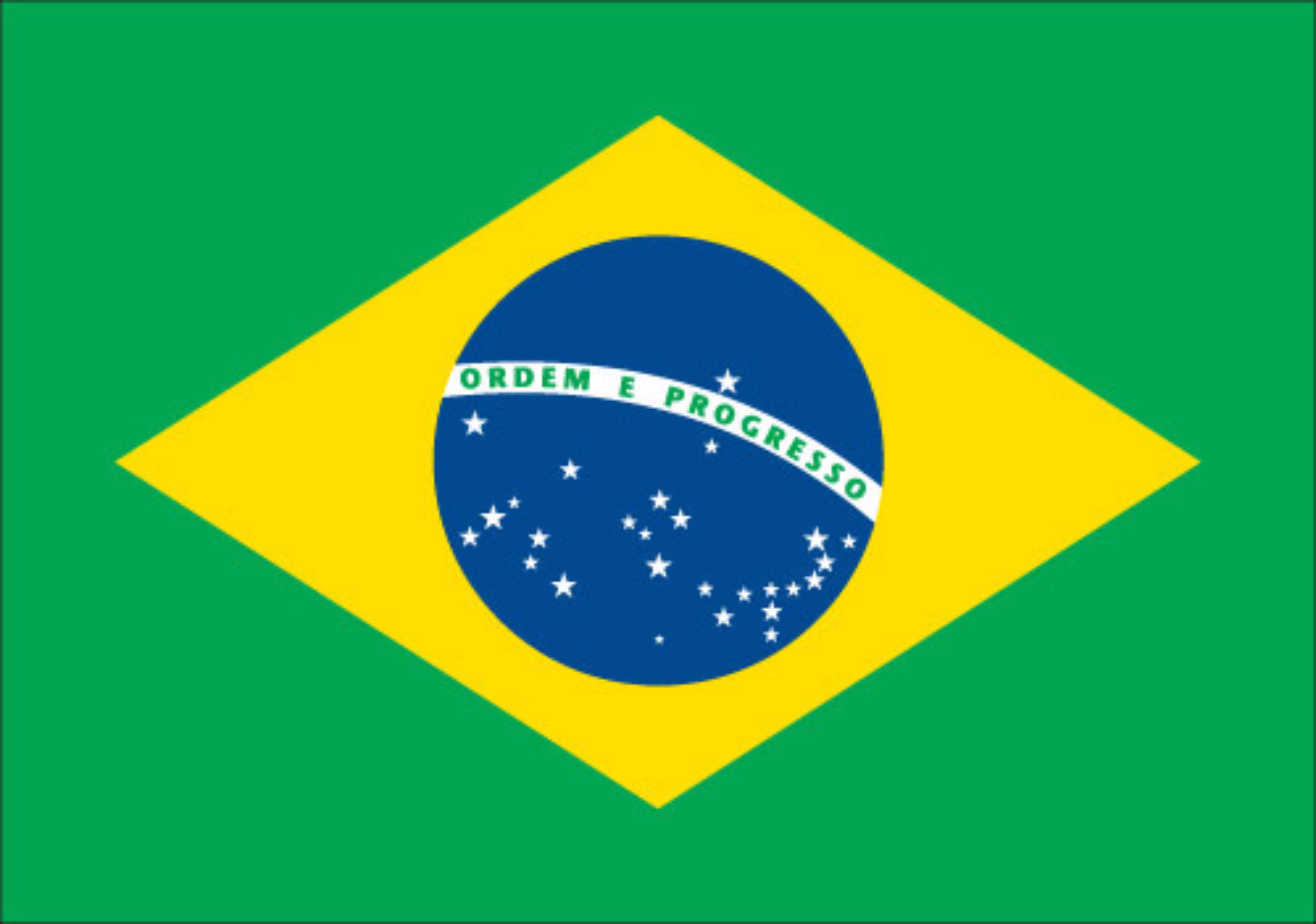 Brazil Flag icon