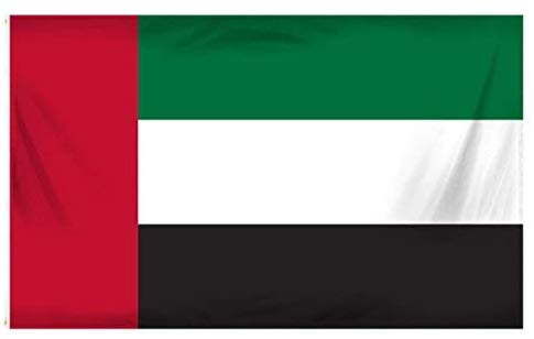 UAE Flag icon